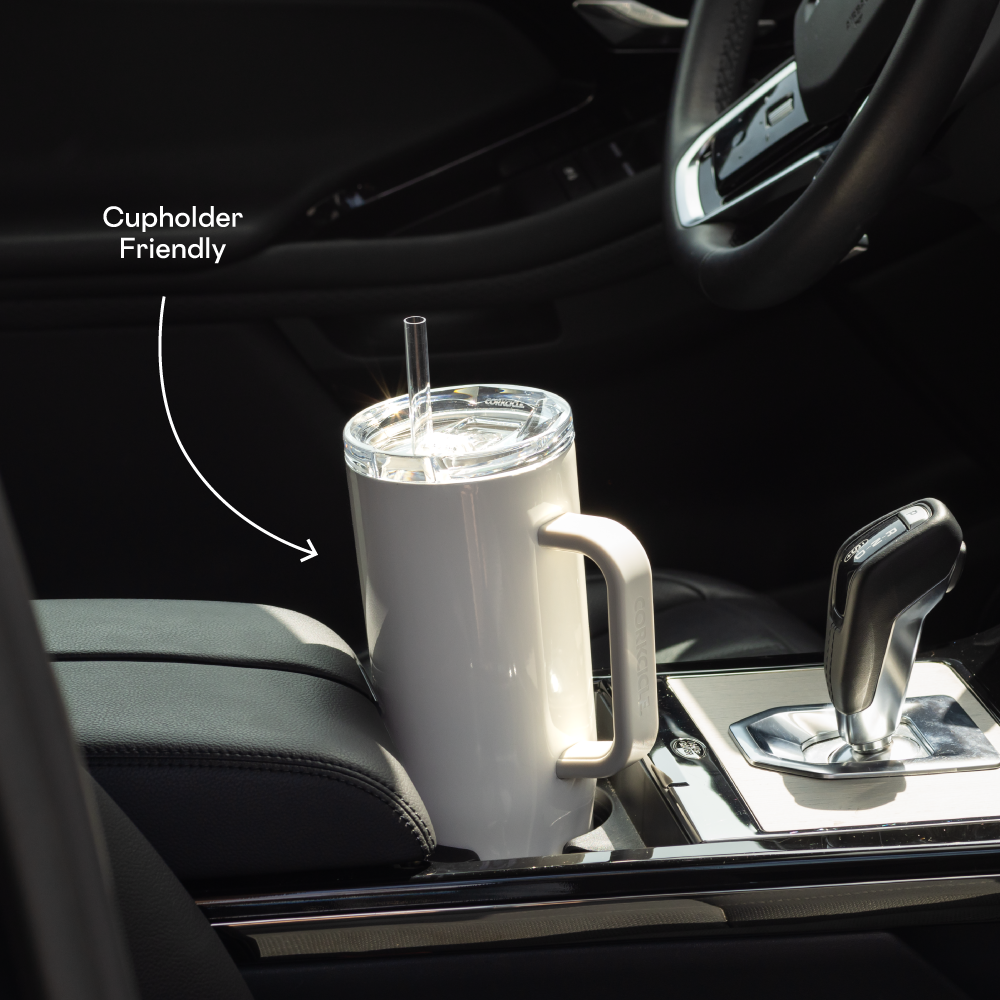 Cruiser - Daily Cup O5