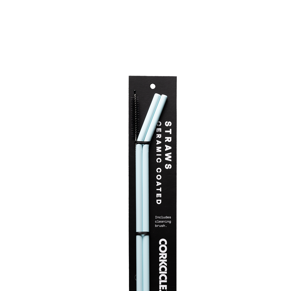 Ceramic Coated Straw Set - Handy Choice E2 - Straw Set / Ceramic Powder Blue