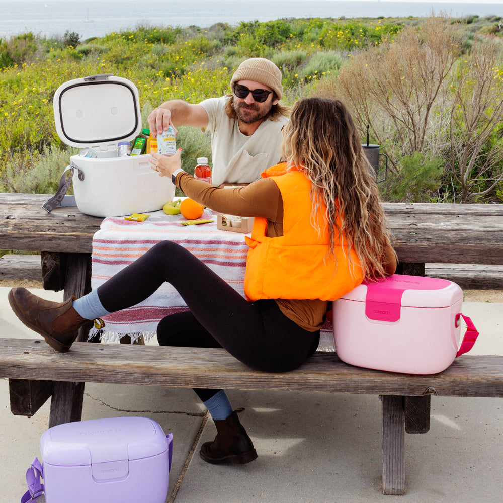 Chillpod Go - Clean Cooler A3