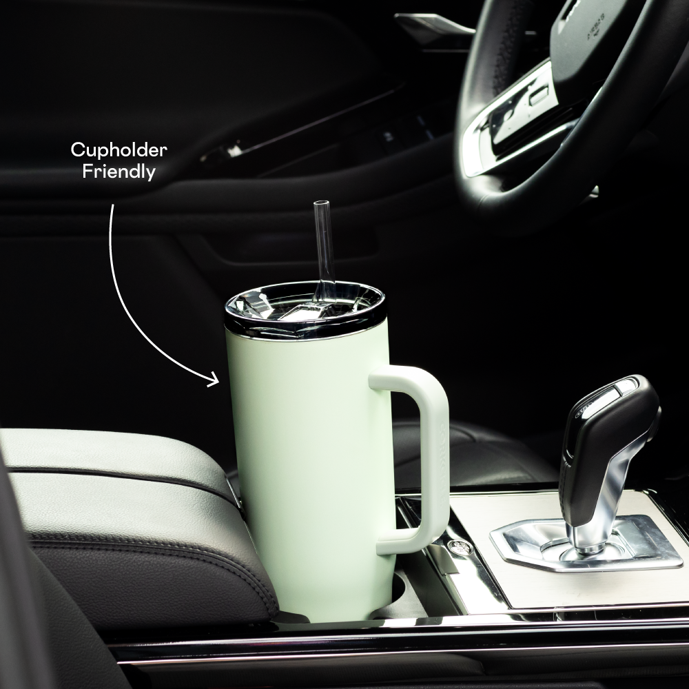Cruiser - Daily Cup O5