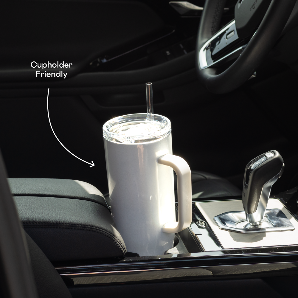 Cruiser - Daily Cup O5