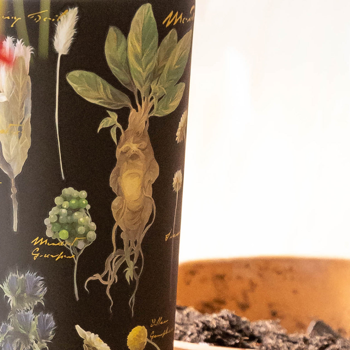 Harry Potter Cold Cup - Versatile Beverage E7